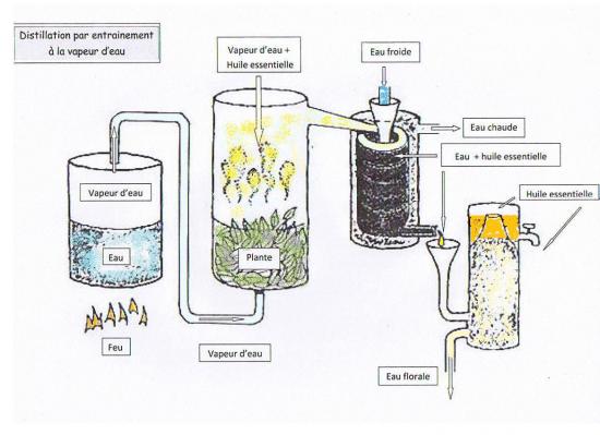 jeudi 5 février 2009.jpg